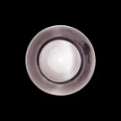 Plomme thumbnail