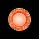 Orange thumbnail