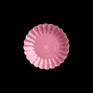 Rosa thumbnail