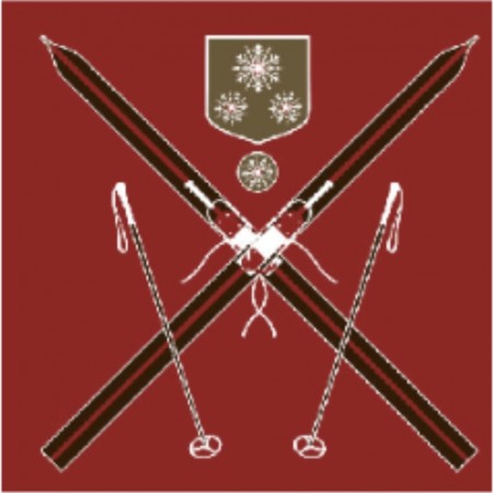 Servietter fra Paviot med ski motiv røde