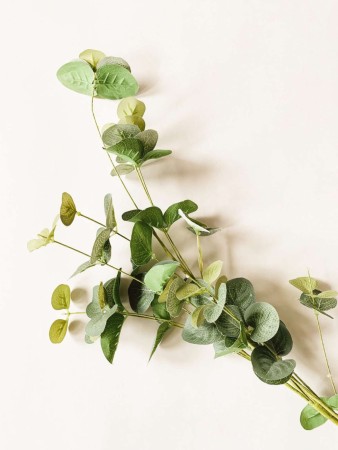 Gren eucalyptus 84 