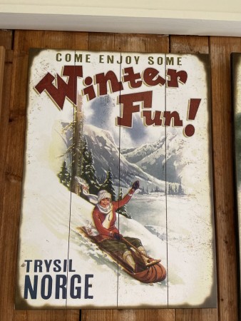 Vintage treskilt " Winter Fun 