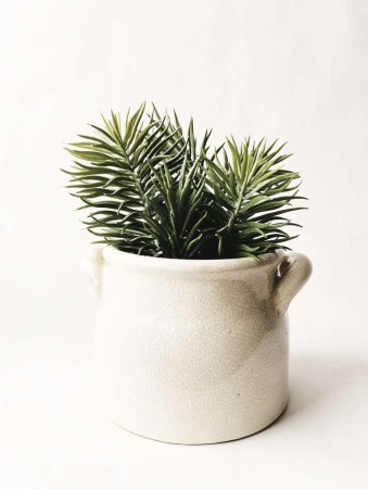 Blomsterpotte krakelert 16x15x11 cm