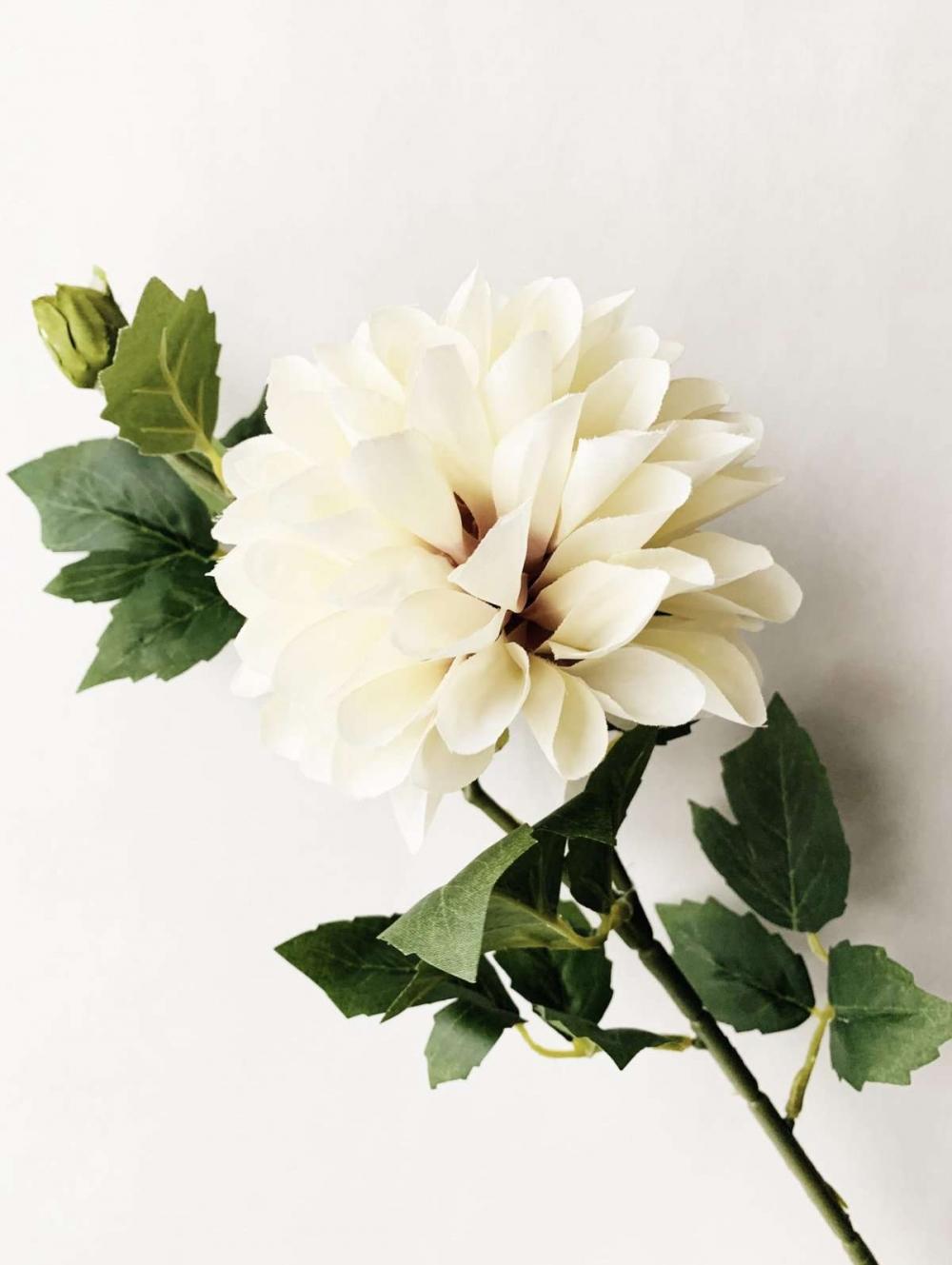 Dahlia støvet creme 66cm 