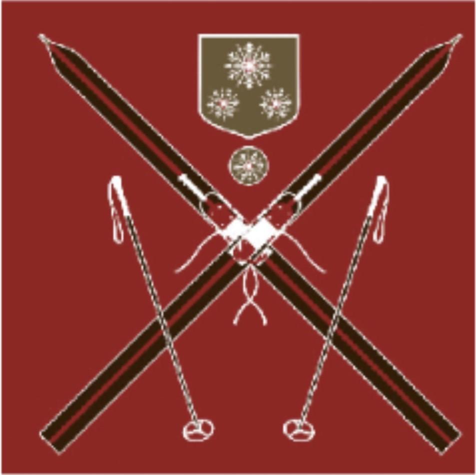 Servietter fra Paviot med ski motiv røde