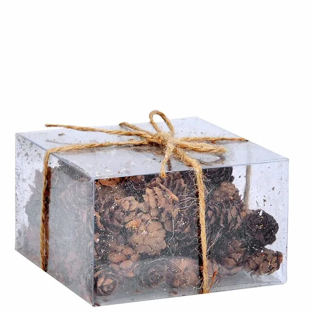 Natur kongler i boks D10 H6 cm