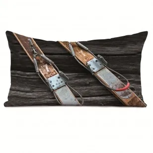 Coast & Valley Vintages skipute m/gamle ski