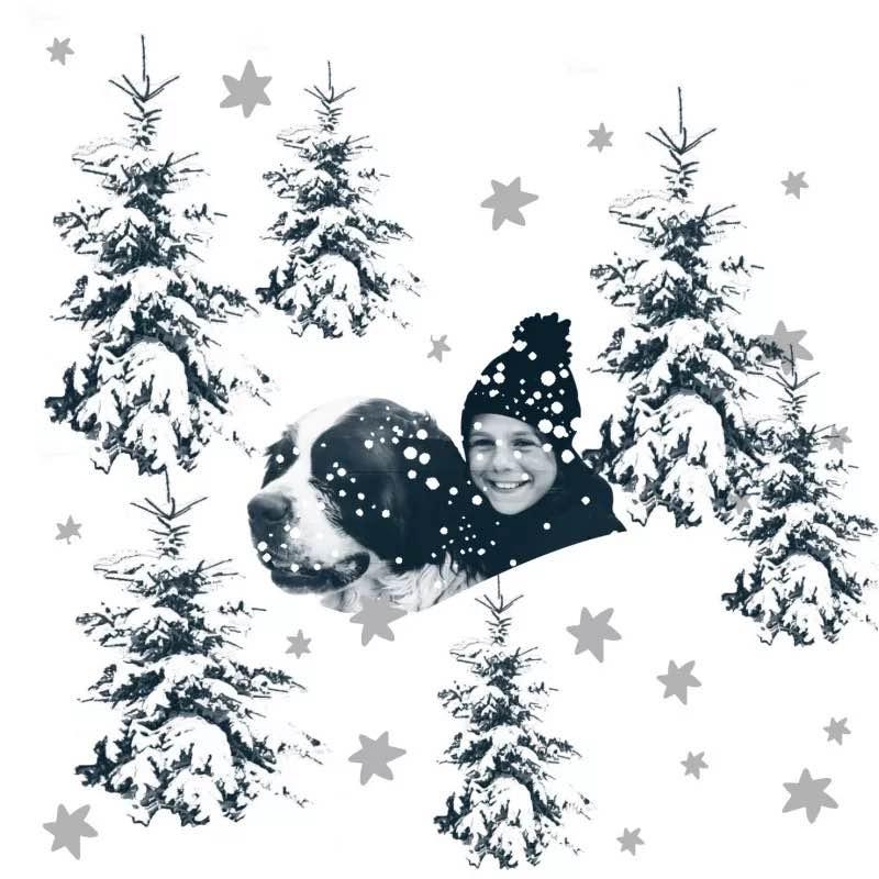 Coctail servietter St. Bernardshund Françoise PAVIOT